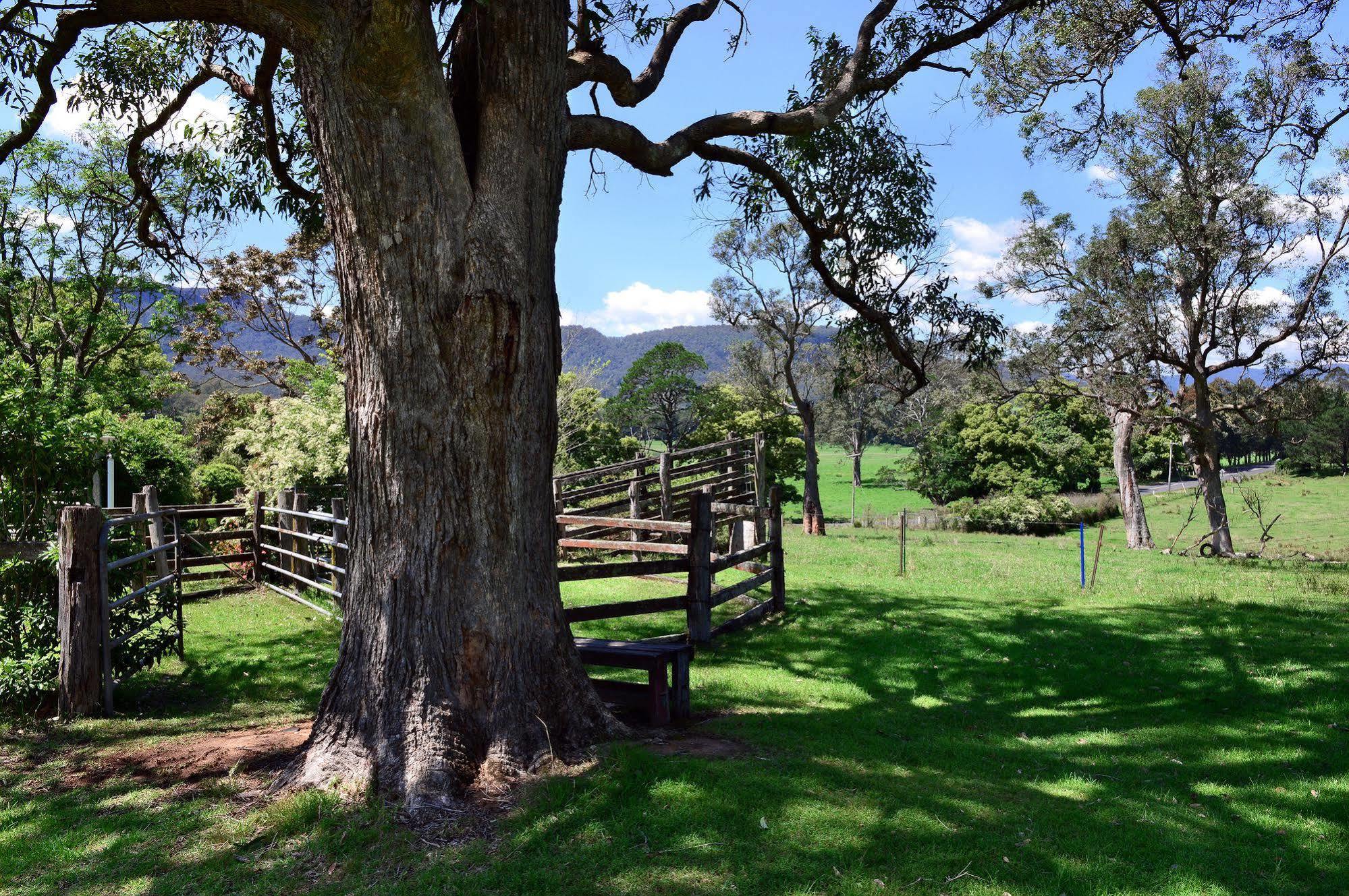 The Laurels B&B Kangaroo Valley Exterior foto