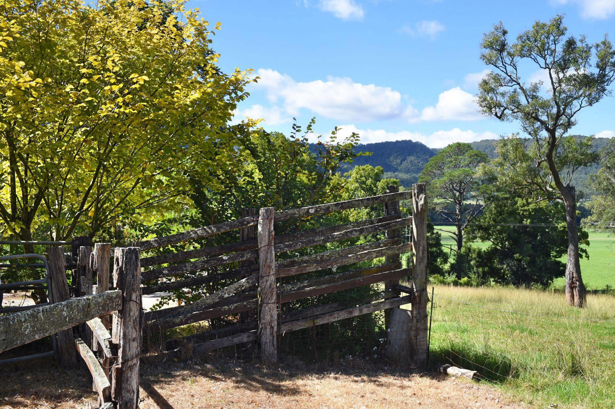The Laurels B&B Kangaroo Valley Exterior foto
